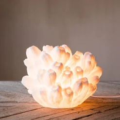 Graham & Green Arbuscular Coral Lamp