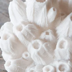 Graham & Green Arbuscular Coral Lamp