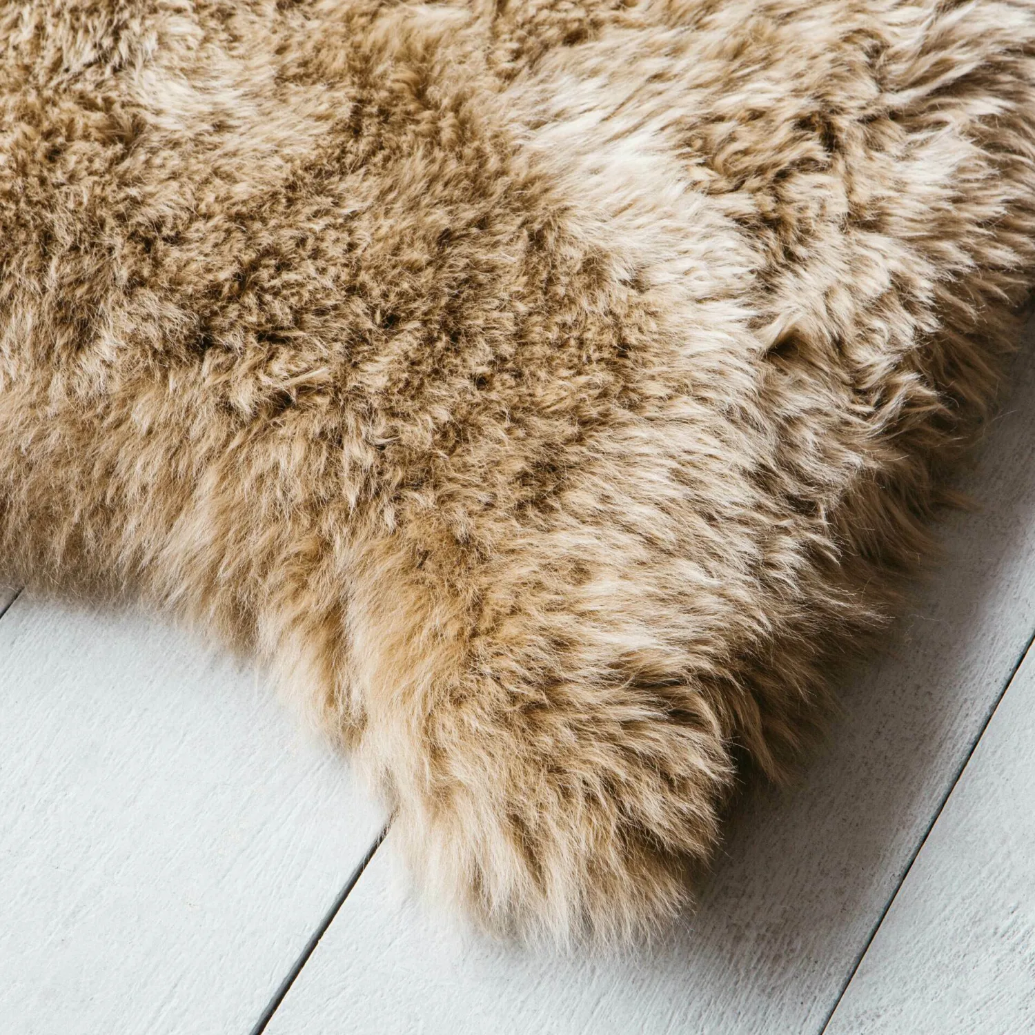 Graham & Green Butterscotch Single Sheepskin