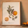 Graham & Green Crowned Bitter Orange Print with Oak Frame