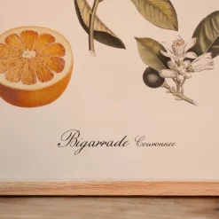 Graham & Green Crowned Bitter Orange Print with Oak Frame