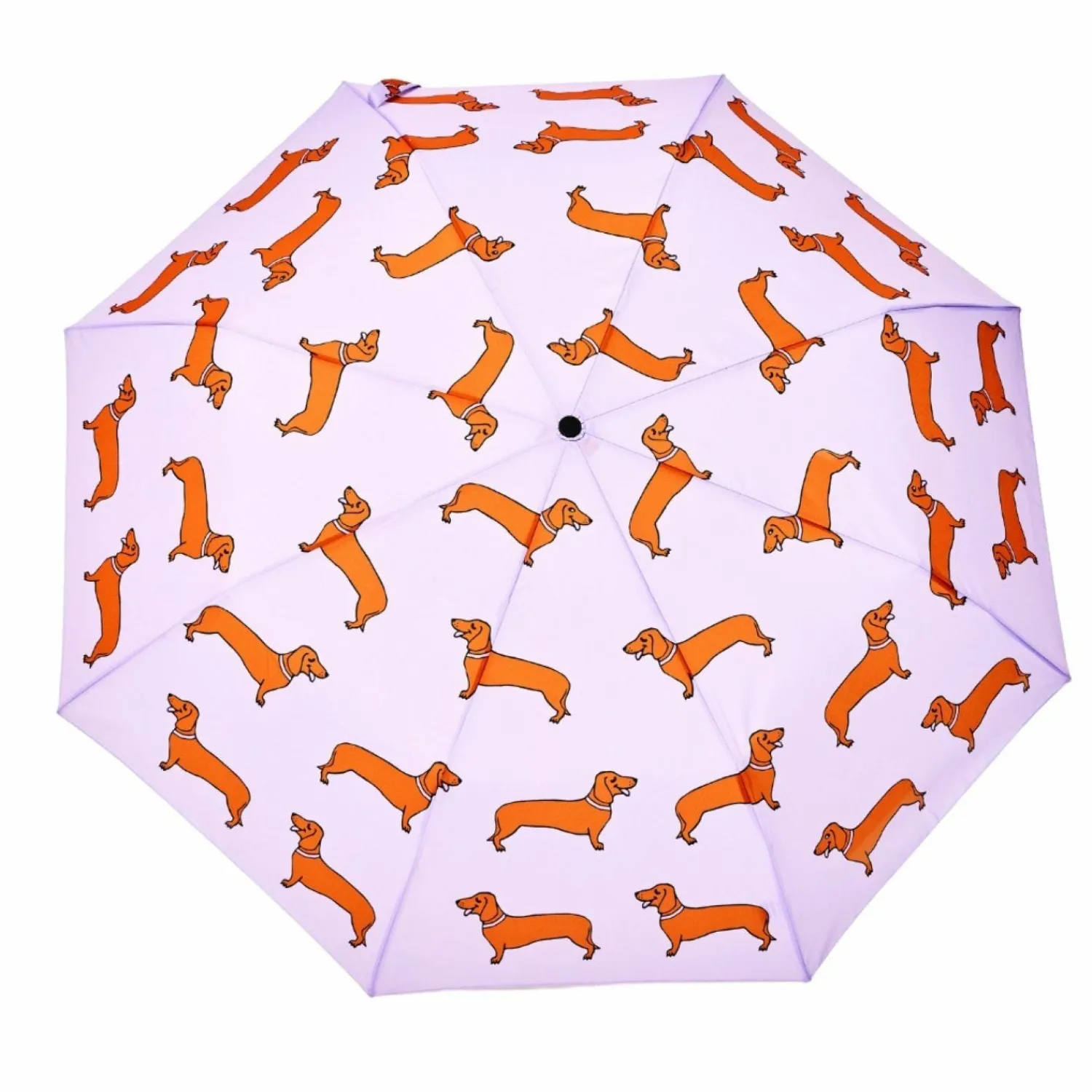 Graham & Green Dachshund Purple Duck Umbrella