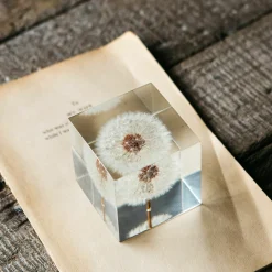 Graham & Green Dandelion Paperweight