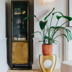 Graham & Green Dexter Single Glass Display Cabinet