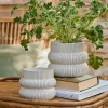 Graham & Green Distressed White Fluted Plant Pots