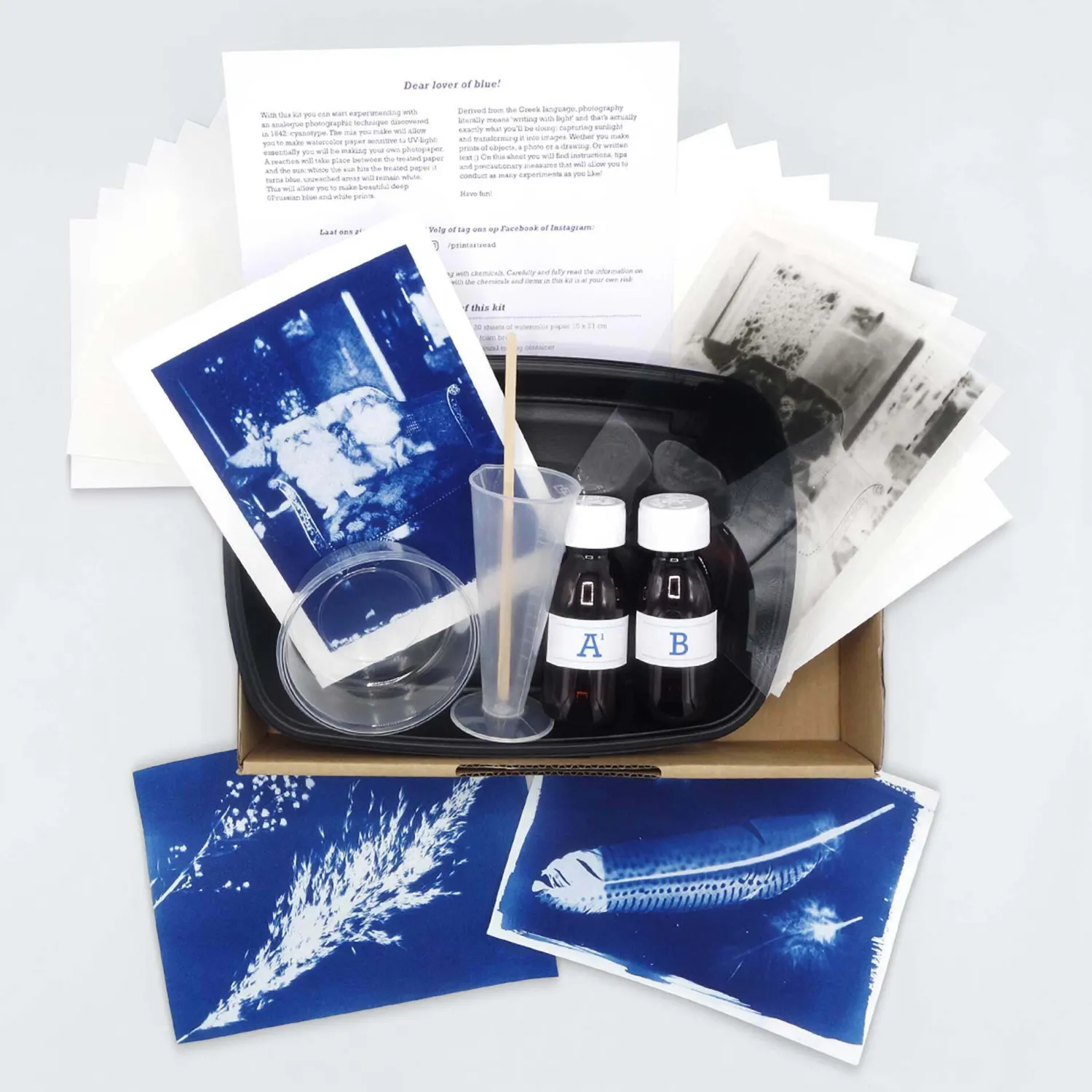 Graham & Green DIY Cyanotype Paper Kit