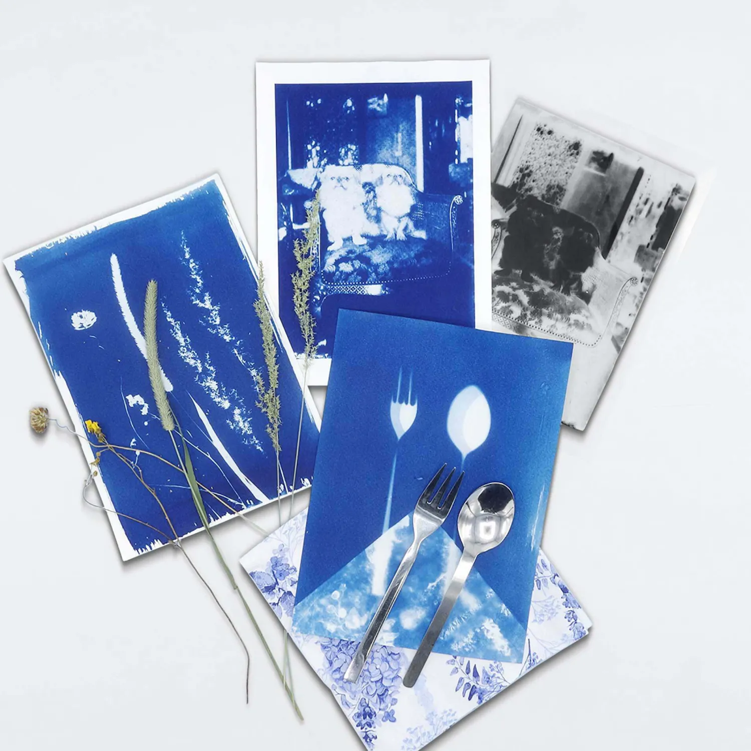 Graham & Green DIY Cyanotype Paper Kit