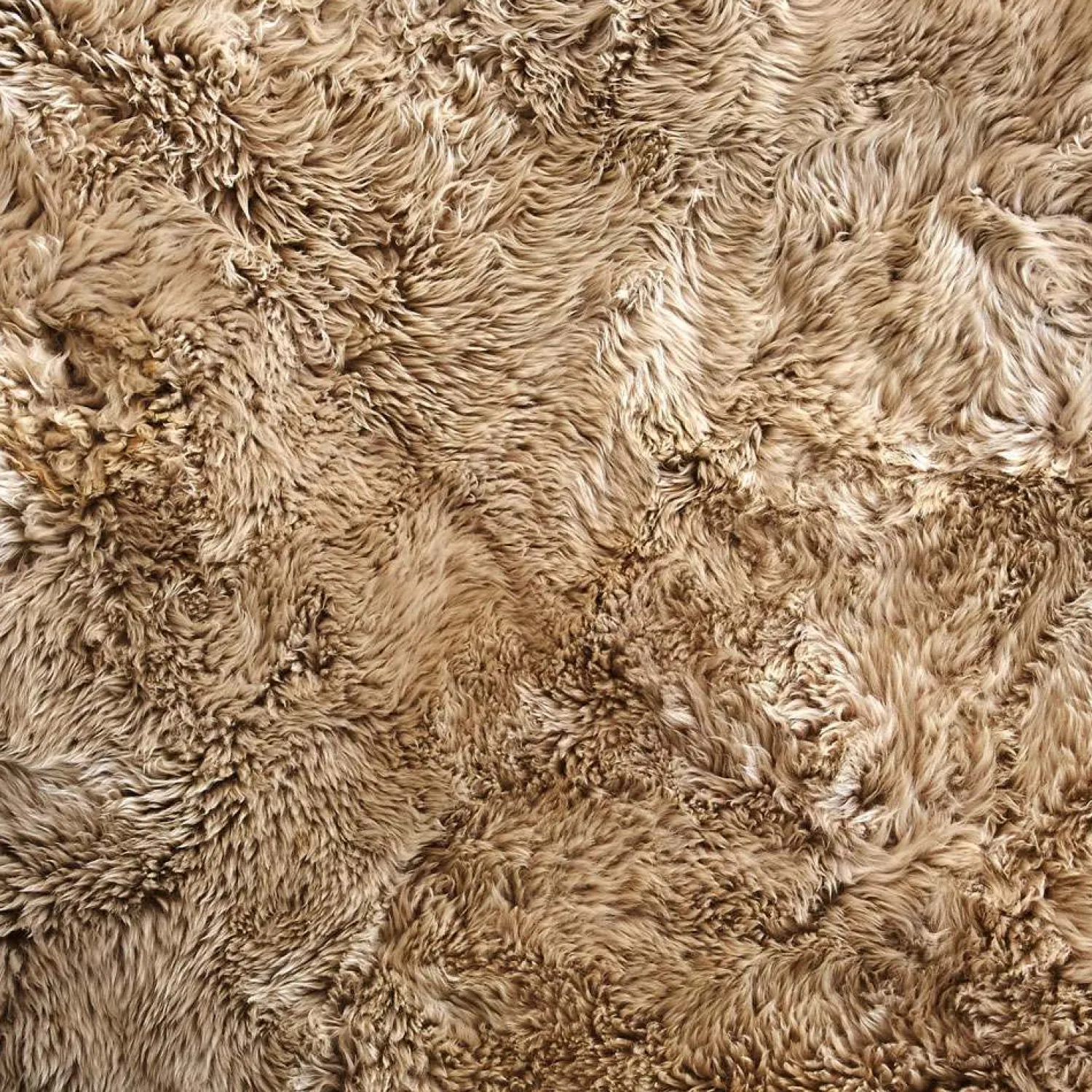 Graham & Green Extra Large Quad Oyster Sheepskin