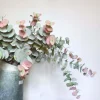 Graham & Green Faux Peach Tint Eucalyptus Spray
