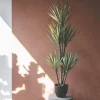 Graham & Green Faux Yucca Plant