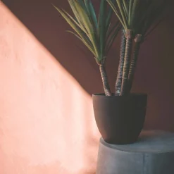 Graham & Green Faux Yucca Plant