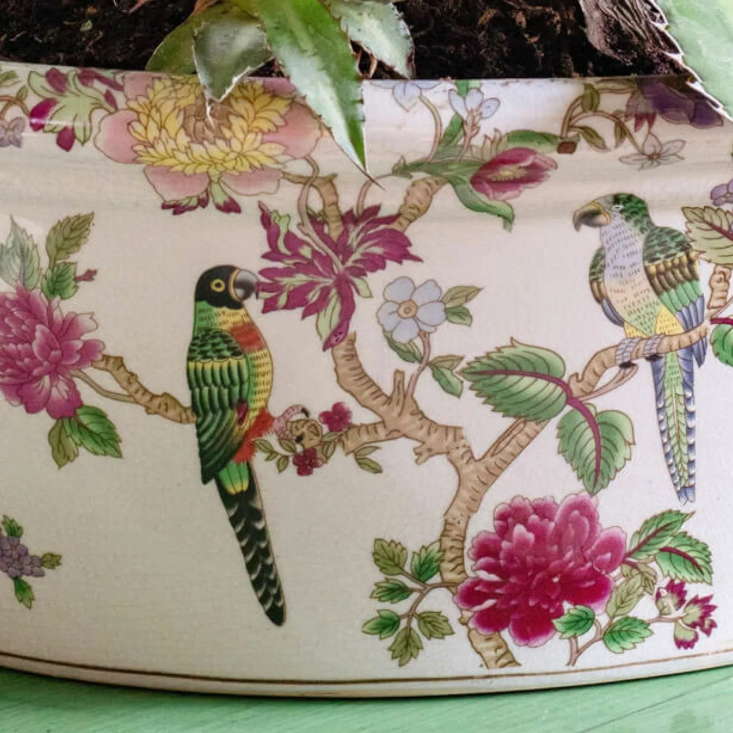 Graham & Green Flowers and Parrots Plant Pot