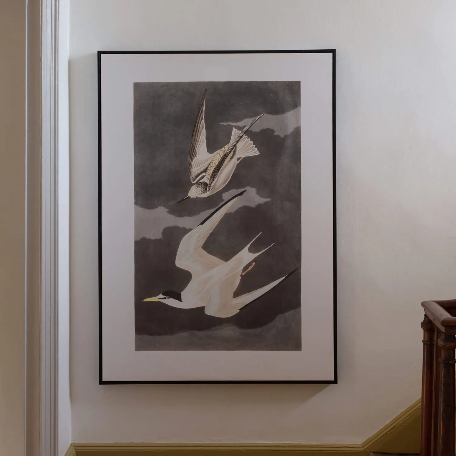 Graham & Green Framed Birds in Flight Print