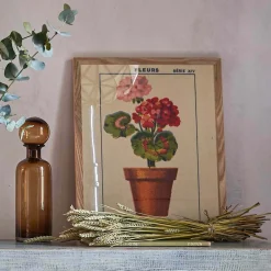 Graham & Green Framed Geranium Print