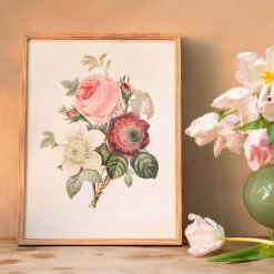 Graham & Green Framed Rose Anemonastrum Clematis Print