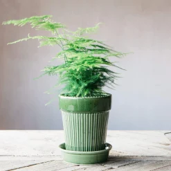 Graham & Green Green Ribbed Glazed Vase