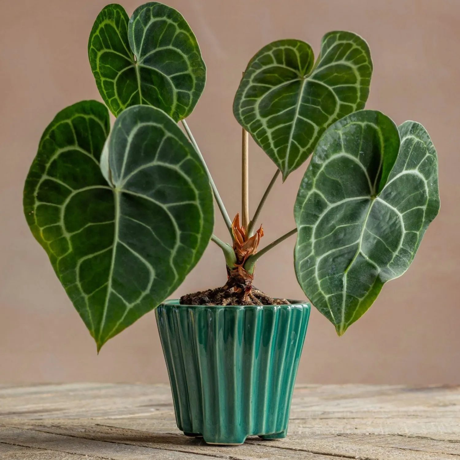 Graham & Green Green Ribbed Plant Pot