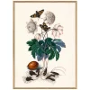 Graham & Green Greens and Butterflies Print with Oak Frames