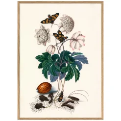Graham & Green Greens and Butterflies Print with Oak Frames