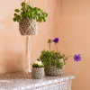 Graham & Green Grey Shell Plant Pots