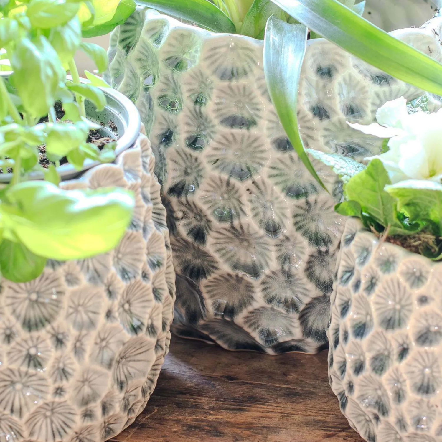 Graham & Green Grey Shell Plant Pots