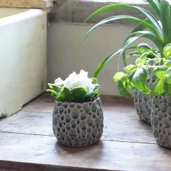 Graham & Green Grey Shell Plant Pots