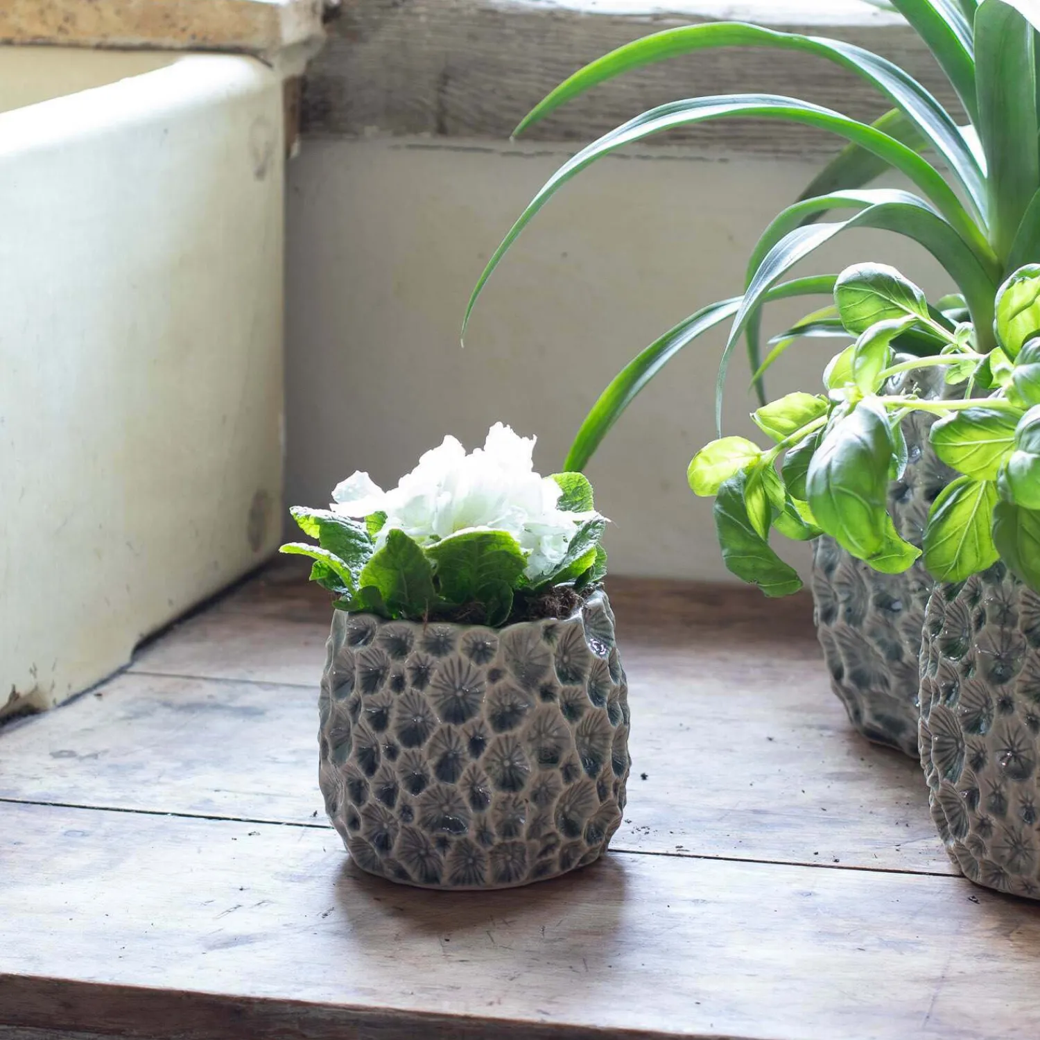 Graham & Green Grey Shell Plant Pots
