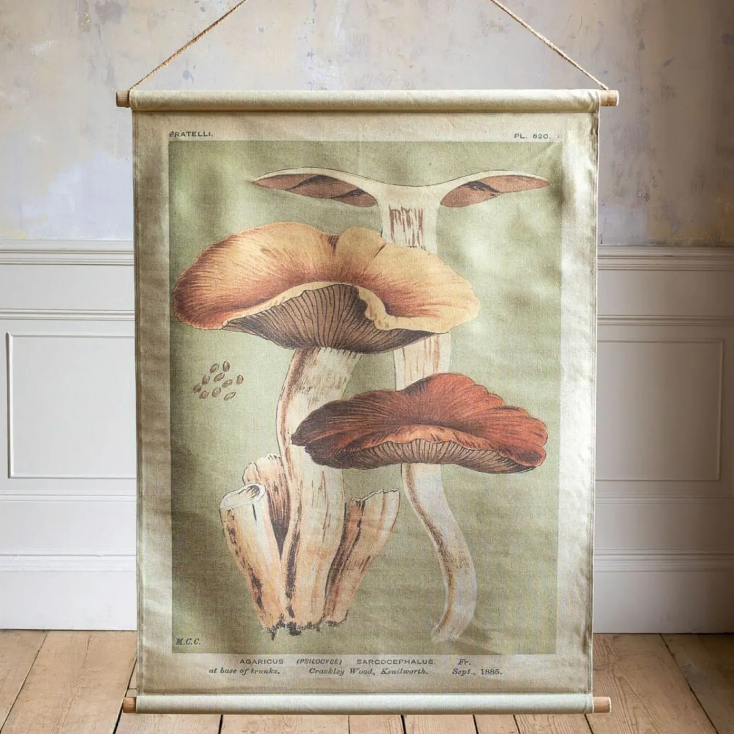 Graham & Green Hanging Canvases