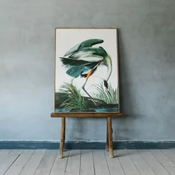 Graham & Green Heron Print