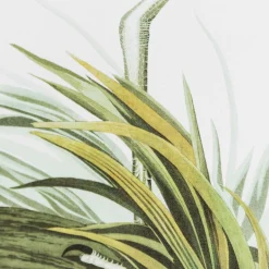 Graham & Green Heron Print