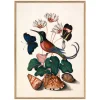 Graham & Green Hummingbird and Flowers Print with Oak Frames