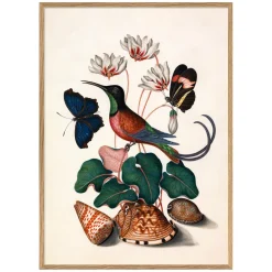 Graham & Green Hummingbird and Flowers Print with Oak Frames