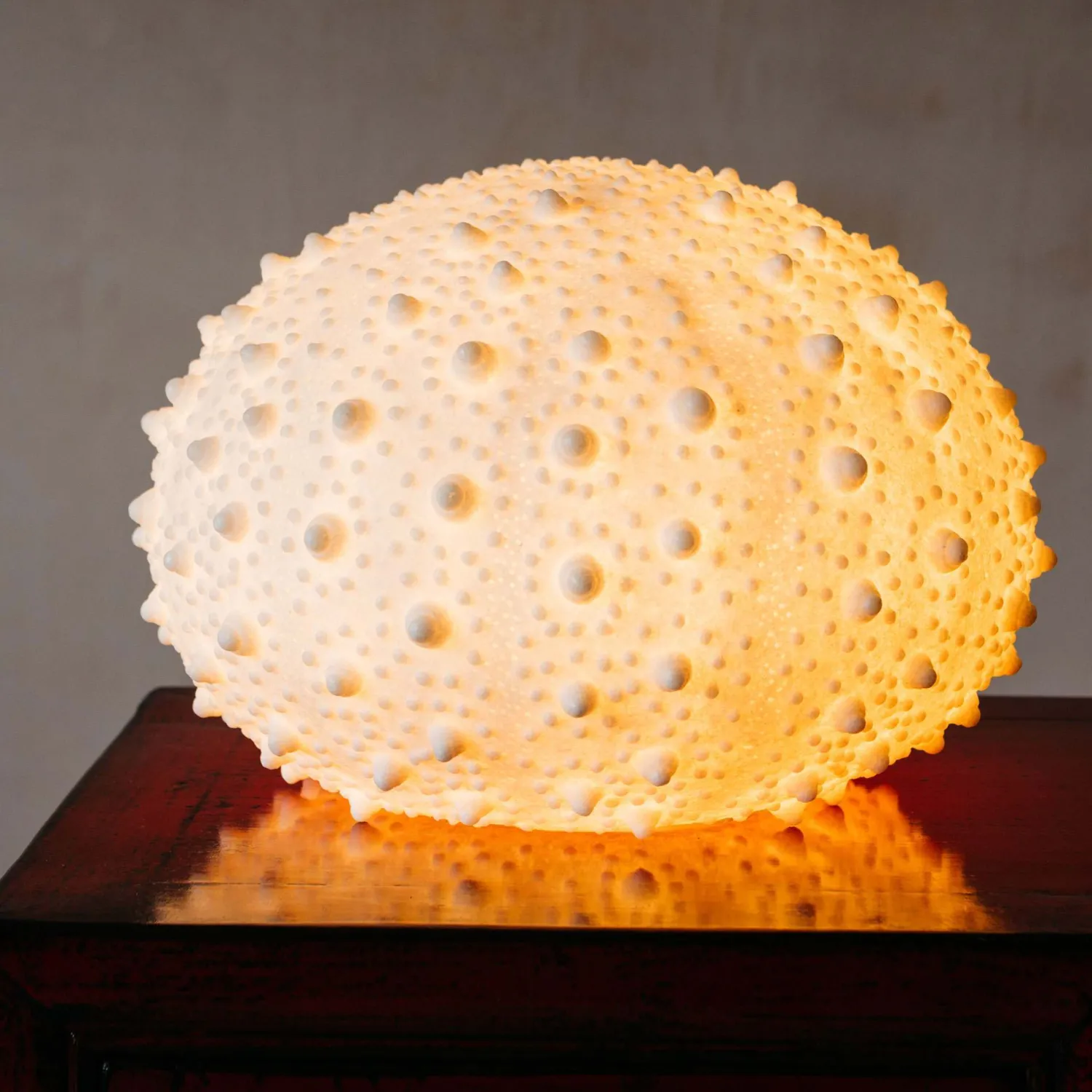 Graham & Green Large Urchin Lamp