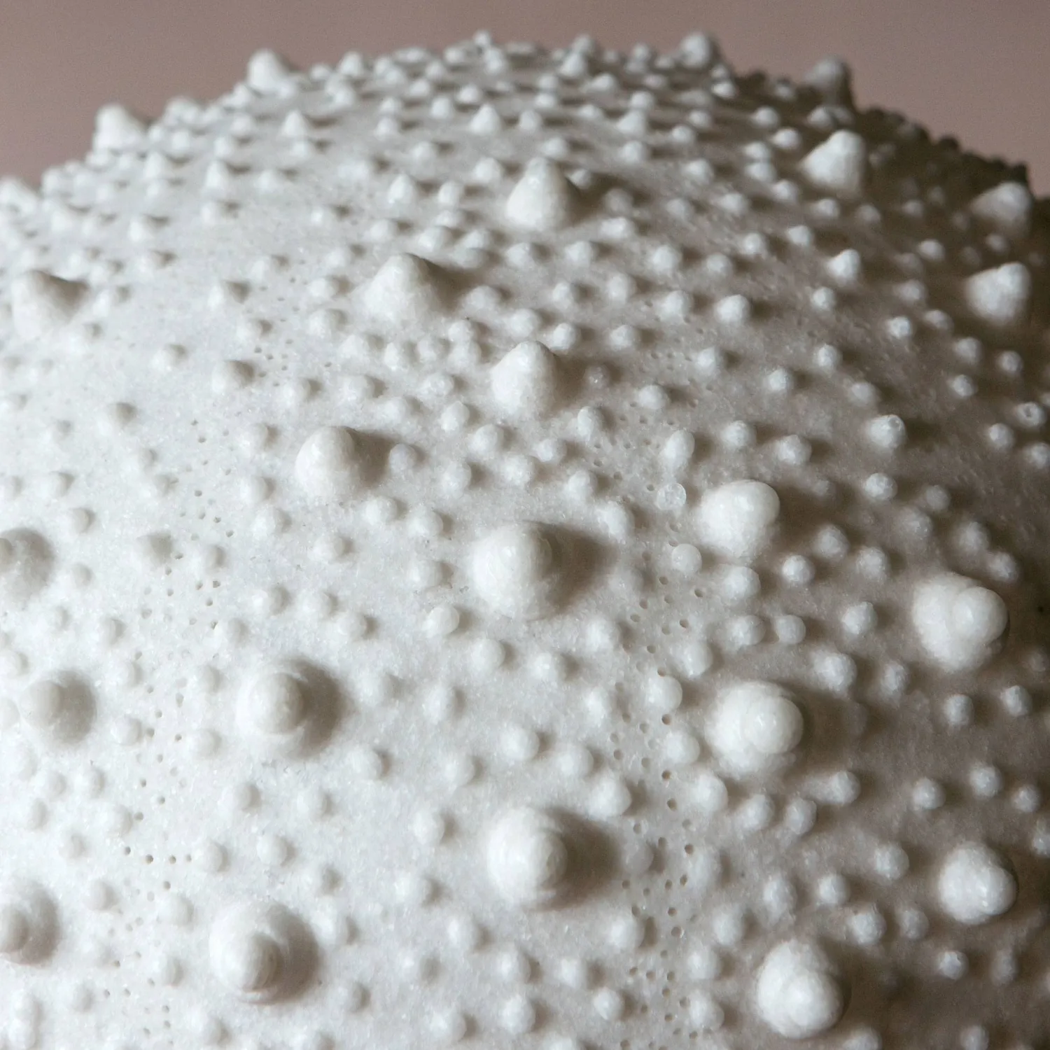 Graham & Green Large Urchin Lamp