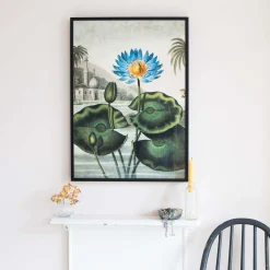 Graham & Green Medium Framed Blue Water Lily Print