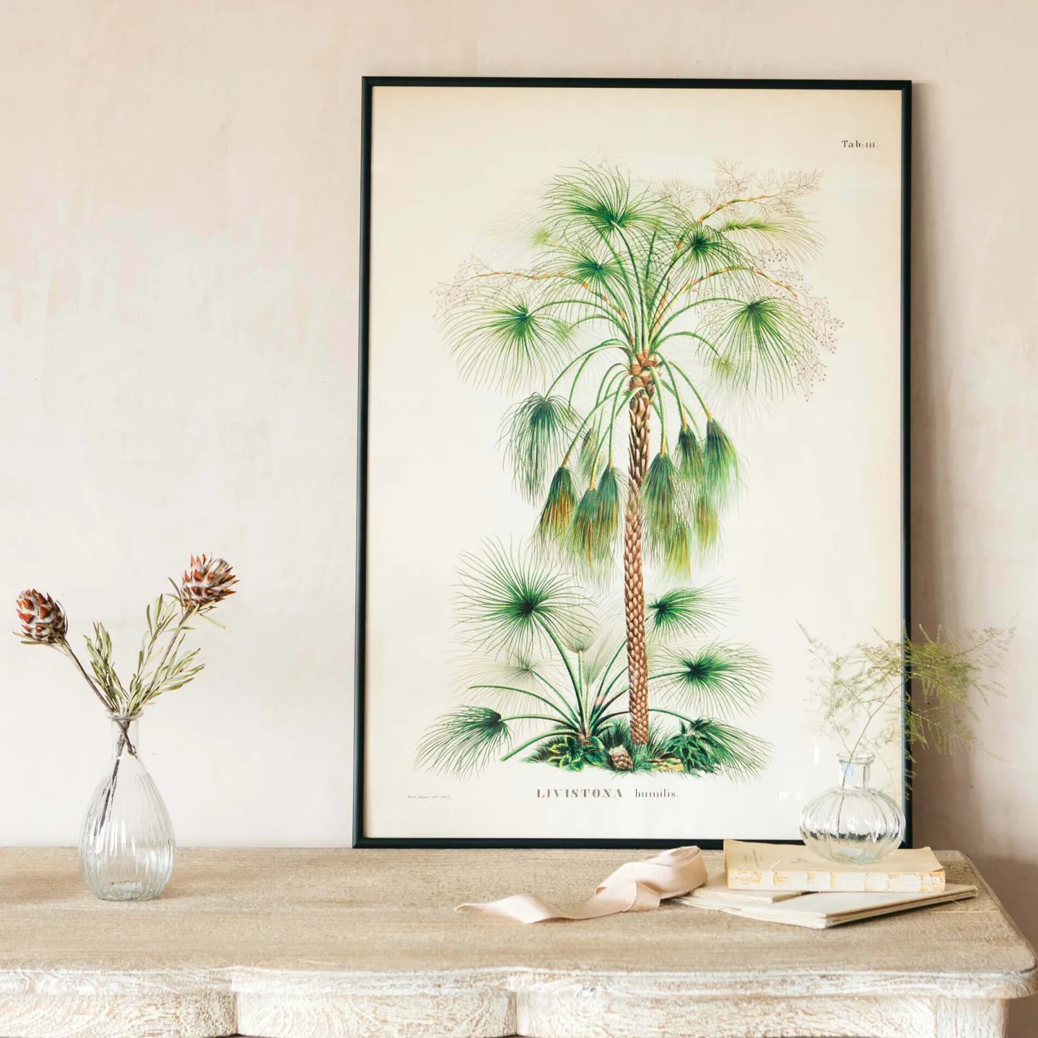 Graham & Green Medium Framed Exotic Palm Print