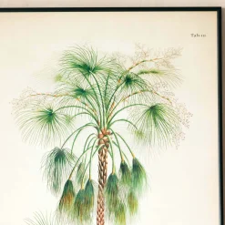 Graham & Green Medium Framed Exotic Palm Print