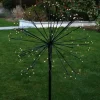 Graham & Green Medium Outdoor Dandelion Light