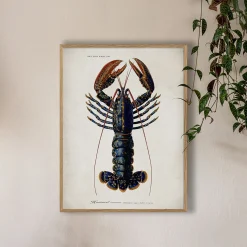 Graham & Green Oak Framed Lobster Print - 70 x 100cm