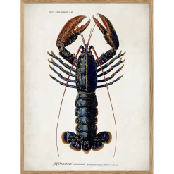 Graham & Green Oak Framed Lobster Prints