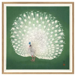 Graham & Green Oak Framed Peacock Prints