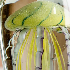 Graham & Green Oval Glass Tiger Jellyfish Paperweight