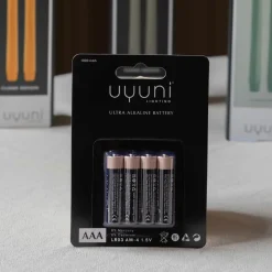 Graham & Green Pack of Four Uyuni AAA Batteries
