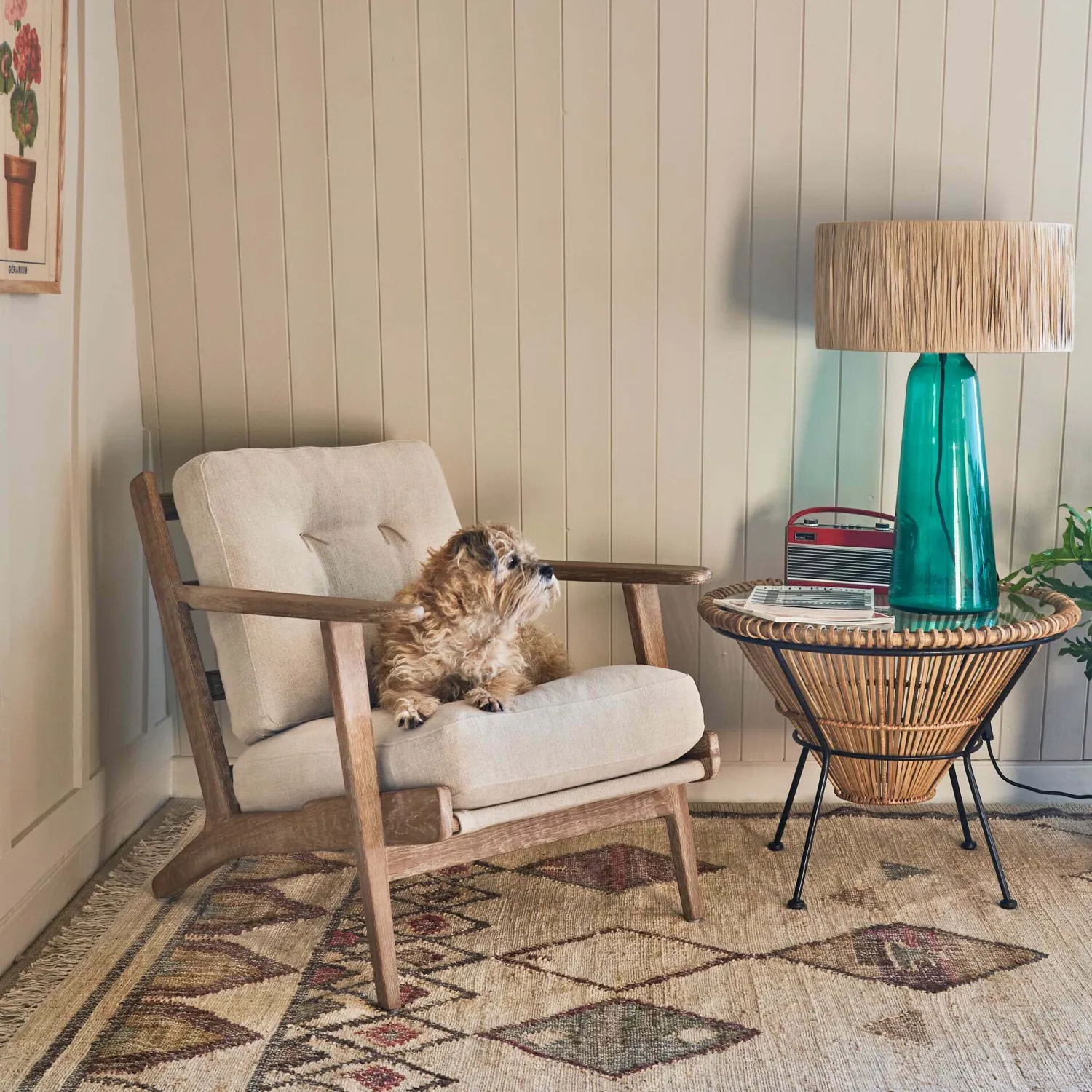 Graham & Green Panja Rugs