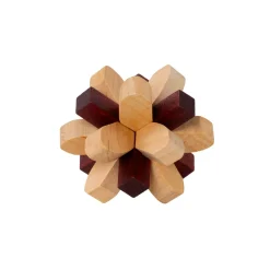 Graham & Green Parietal Lobe Brain Puzzle