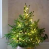 Graham & Green Pearl Cluster String Lights