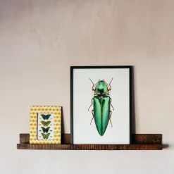 Graham & Green Recycled Wood Photo Shelf