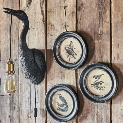 Graham & Green Round Framed Bird Prints