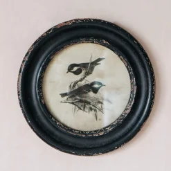 Graham & Green Round Framed Bird Prints