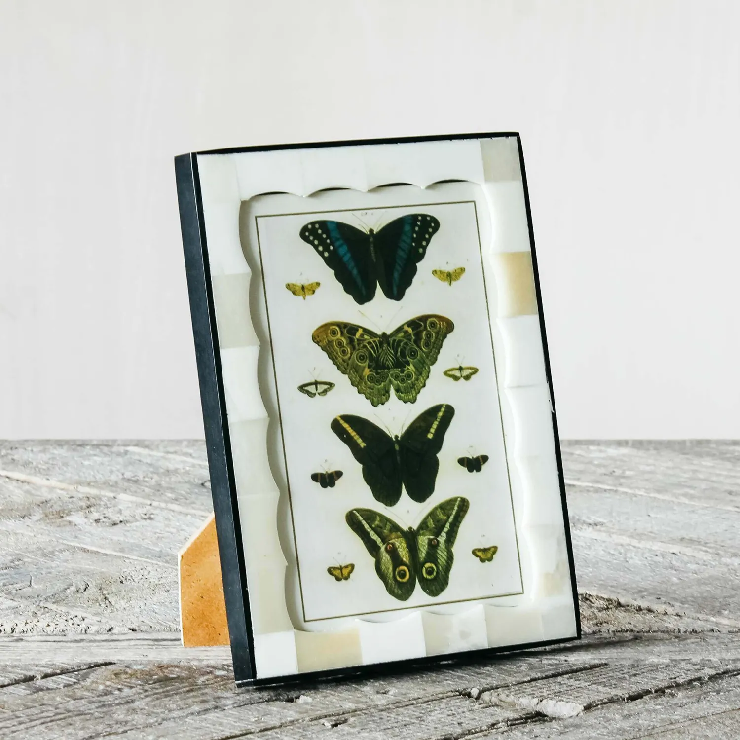 Graham & Green Scalloped Bone and Horn Frame